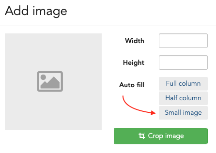 Small Image button